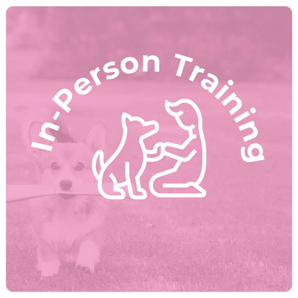 In-person Training