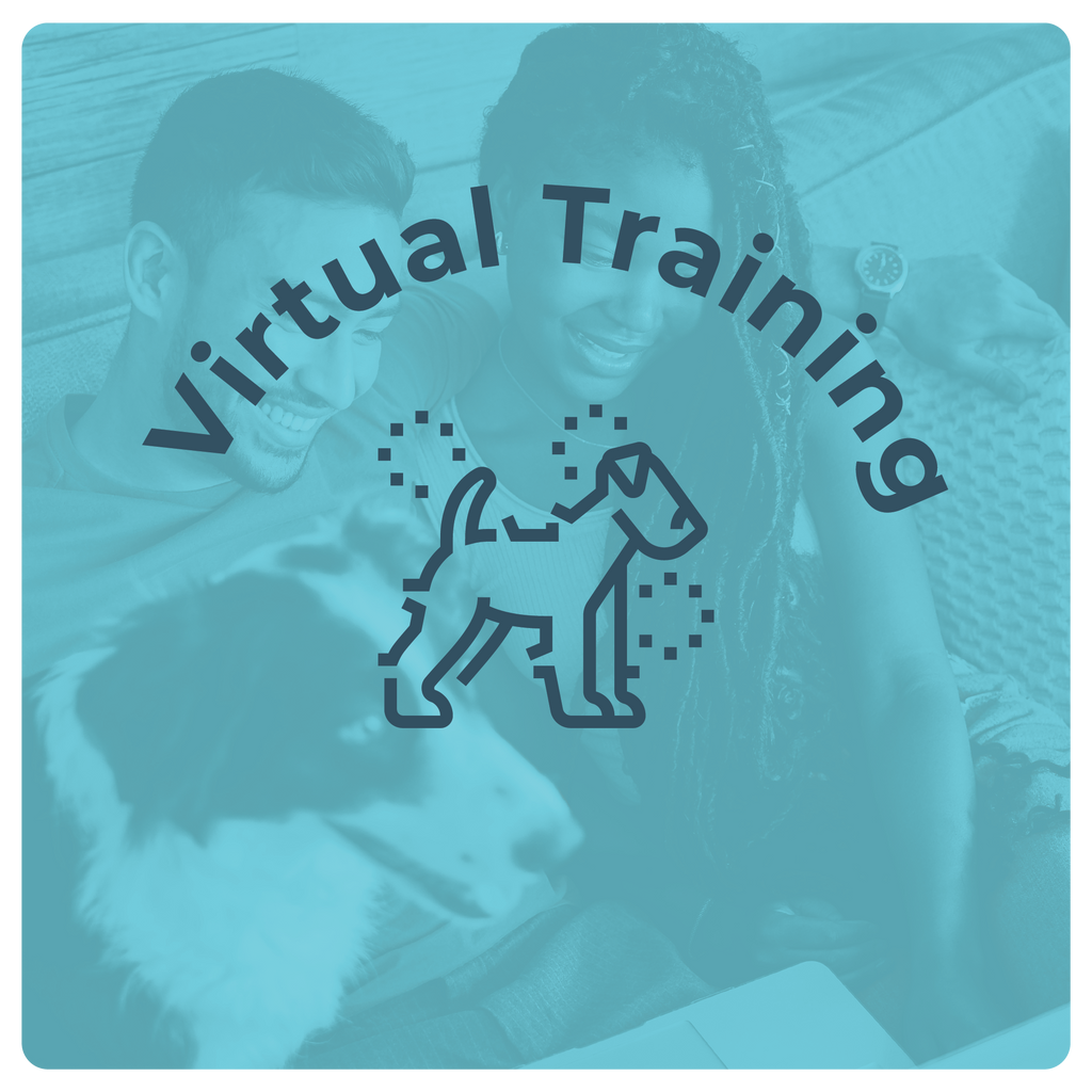 Virtual Training